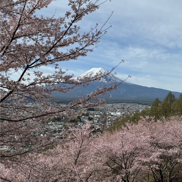 roxzei